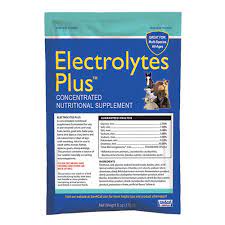 SAV-A-CAF ELECTROLYTES PLUS (4OZ)