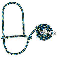 POLY ROPE SHEEP HALTER - ROYAL BLUE/CORAL/GRAY