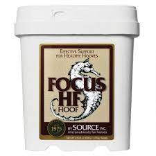 FOCUS HF 3.5#