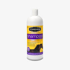 MP CORONA SHAMPOO CONC 32OZ