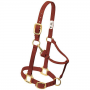 HALTER 1IN ADJ SMALL CINNAMON