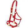 HALTER 1IN ADJ CHIN/THT SMALL RD