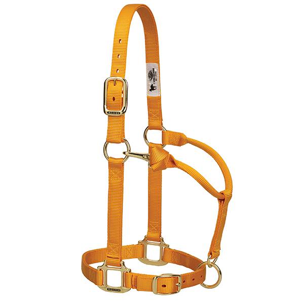 HALTER 1IN ADJ CHIN/THT MED 185