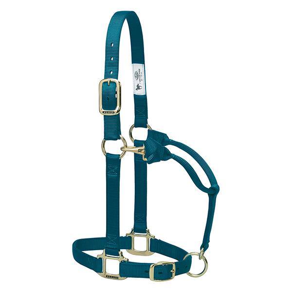 HALTER 1IN ADJ CHIN/THT MED 49