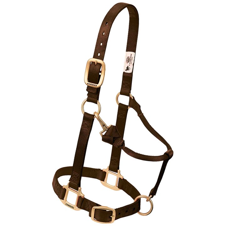 HALTER ADJ MED BROWN