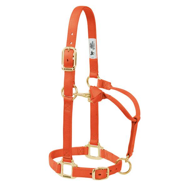 HALTER ADJ MED ORANGE