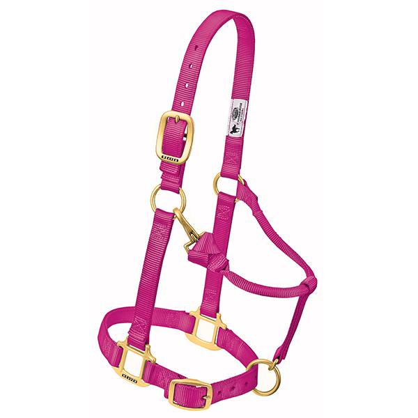 HALTER ADJ MED RASPBERRY