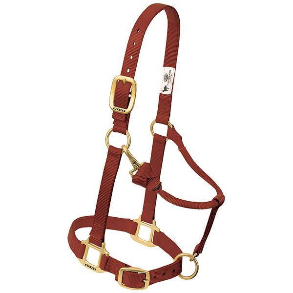 HALTER 1IN ADJ CHIN/THT LARGE CI