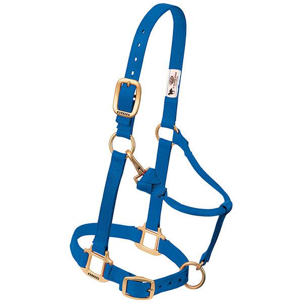 HALTER 1IN ADJ CHIN/THT LARGE BL